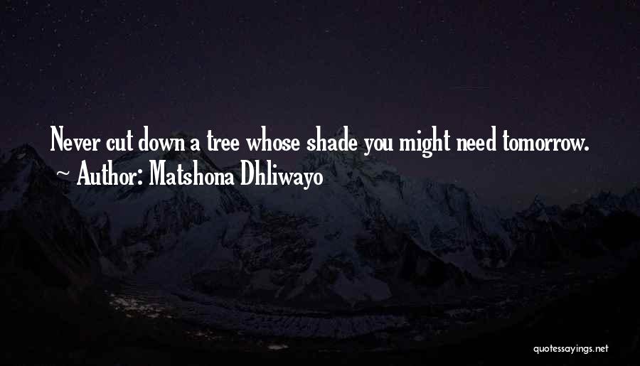 Matshona Dhliwayo Quotes: Never Cut Down A Tree Whose Shade You Might Need Tomorrow.