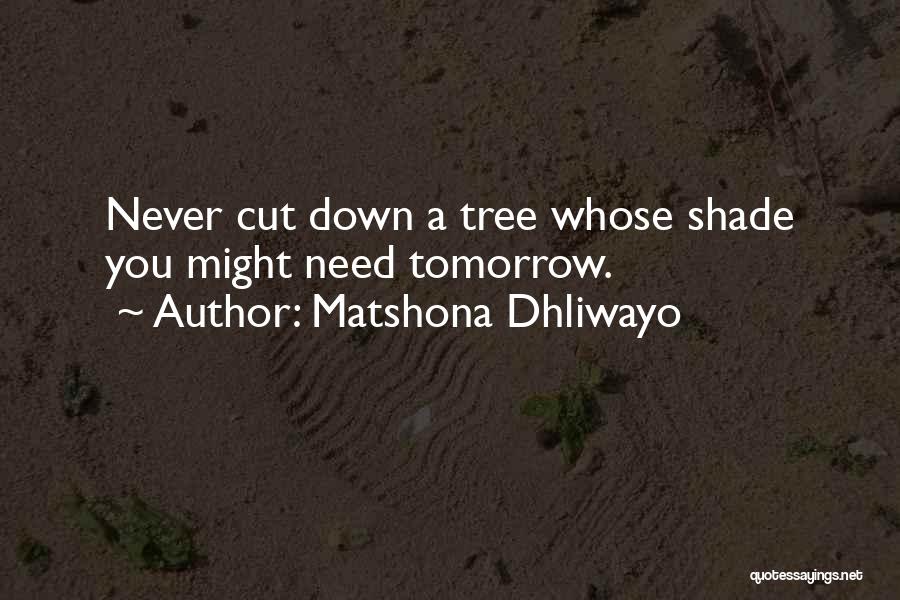 Matshona Dhliwayo Quotes: Never Cut Down A Tree Whose Shade You Might Need Tomorrow.