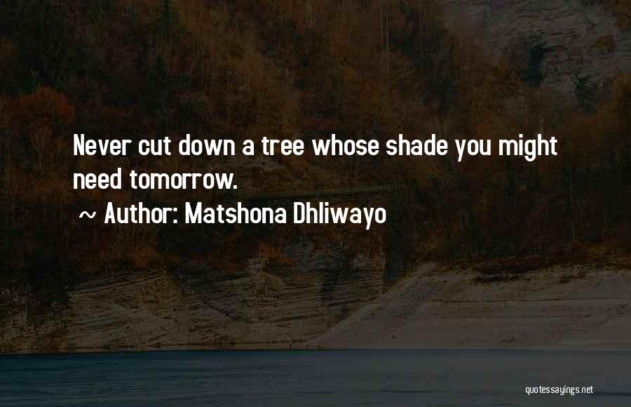 Matshona Dhliwayo Quotes: Never Cut Down A Tree Whose Shade You Might Need Tomorrow.