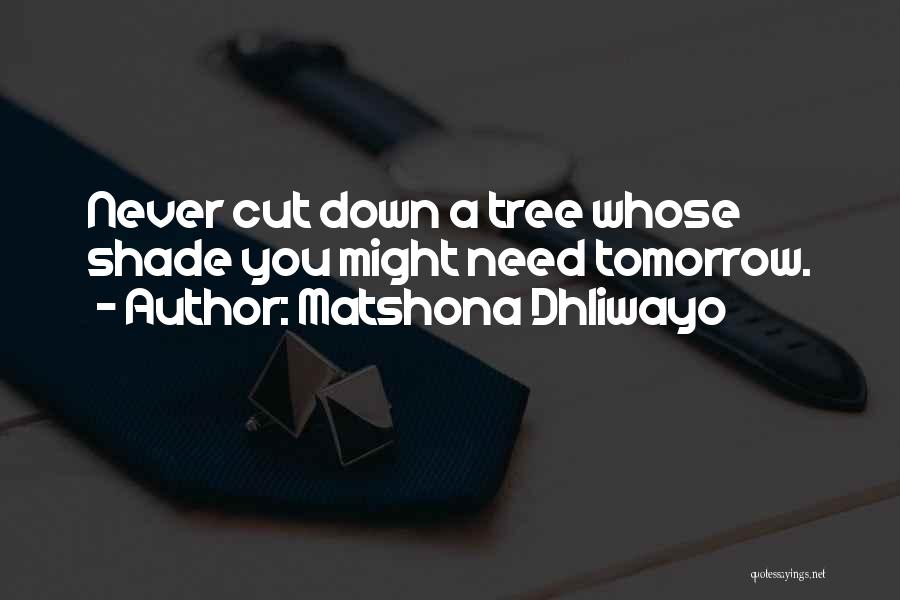 Matshona Dhliwayo Quotes: Never Cut Down A Tree Whose Shade You Might Need Tomorrow.