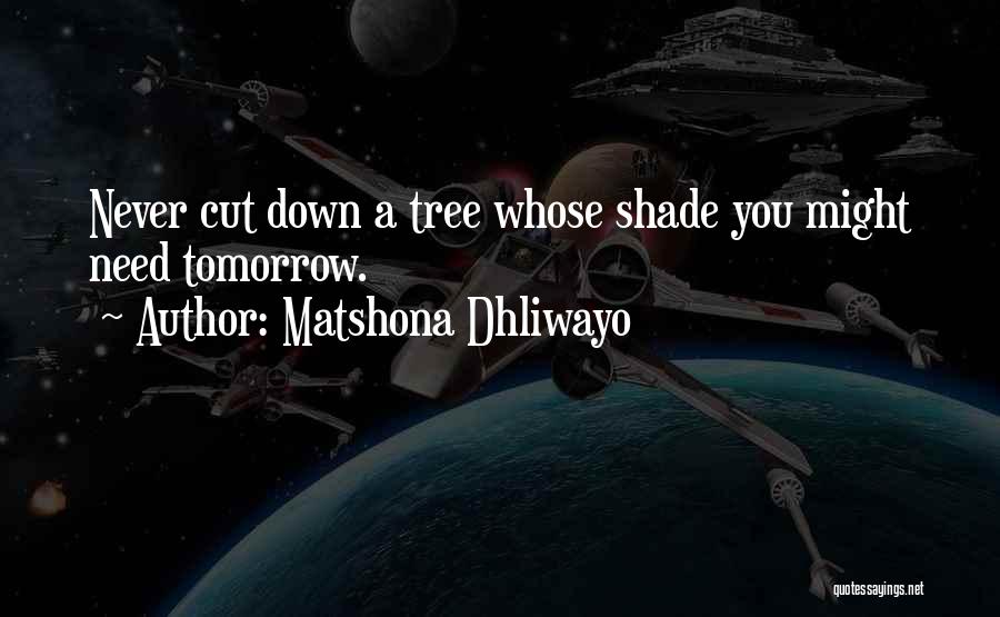 Matshona Dhliwayo Quotes: Never Cut Down A Tree Whose Shade You Might Need Tomorrow.