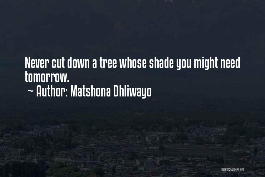 Matshona Dhliwayo Quotes: Never Cut Down A Tree Whose Shade You Might Need Tomorrow.