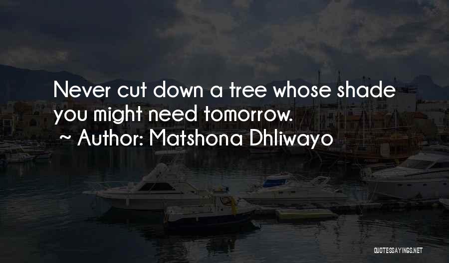 Matshona Dhliwayo Quotes: Never Cut Down A Tree Whose Shade You Might Need Tomorrow.