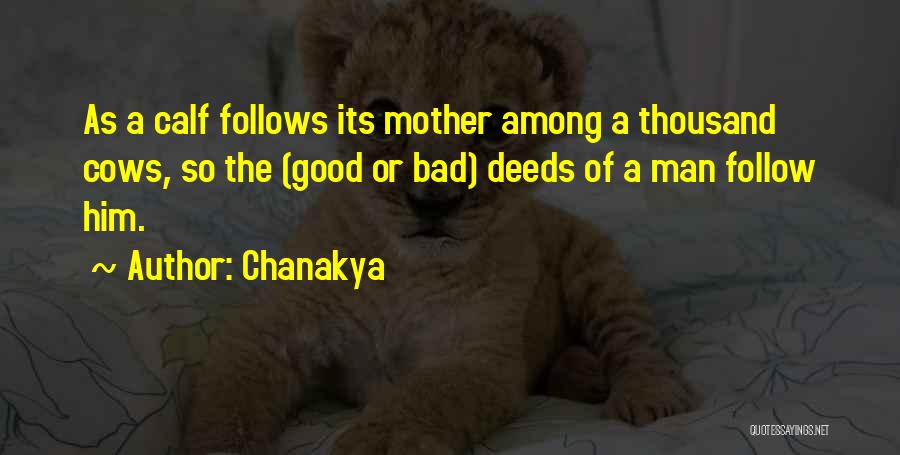 Chanakya Quotes: As A Calf Follows Its Mother Among A Thousand Cows, So The (good Or Bad) Deeds Of A Man Follow