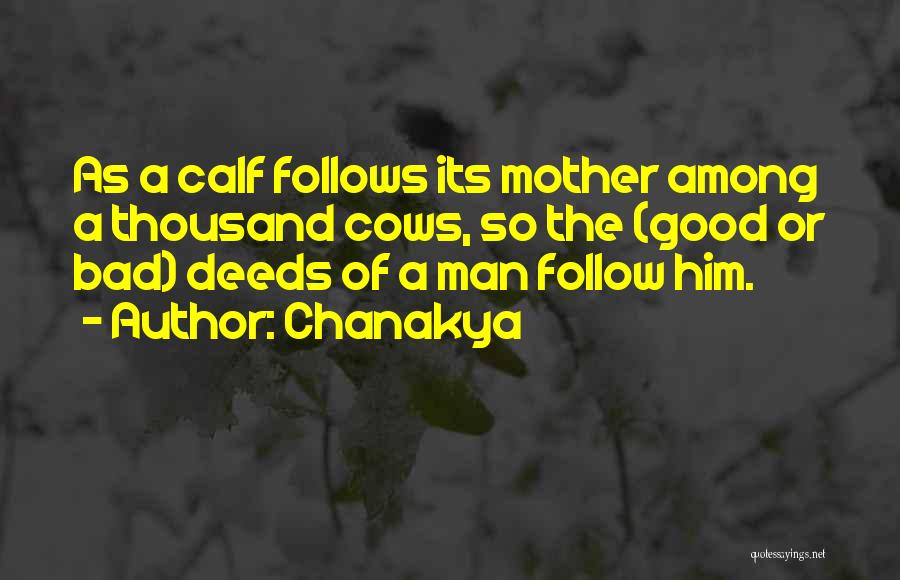 Chanakya Quotes: As A Calf Follows Its Mother Among A Thousand Cows, So The (good Or Bad) Deeds Of A Man Follow