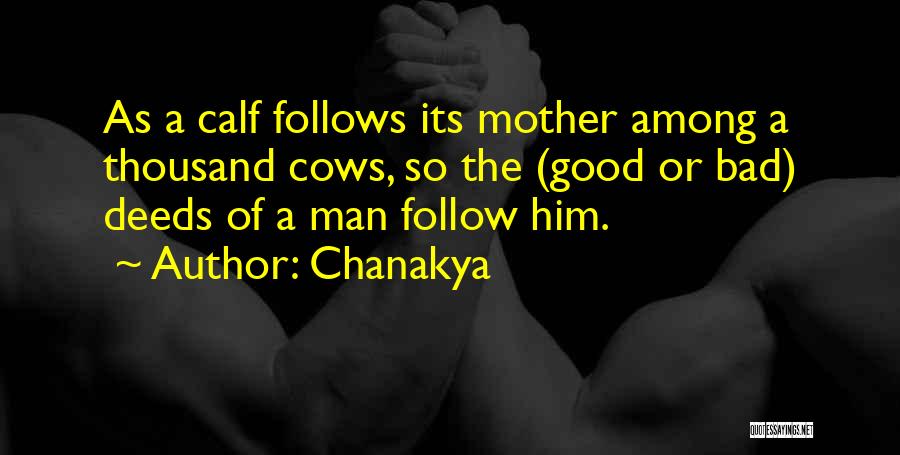 Chanakya Quotes: As A Calf Follows Its Mother Among A Thousand Cows, So The (good Or Bad) Deeds Of A Man Follow