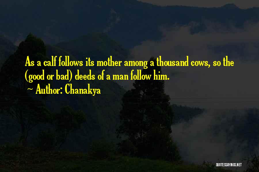 Chanakya Quotes: As A Calf Follows Its Mother Among A Thousand Cows, So The (good Or Bad) Deeds Of A Man Follow