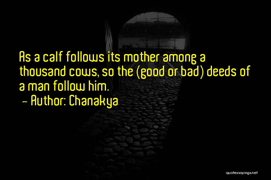Chanakya Quotes: As A Calf Follows Its Mother Among A Thousand Cows, So The (good Or Bad) Deeds Of A Man Follow
