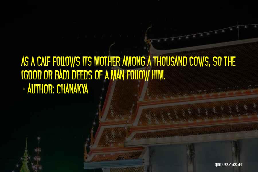 Chanakya Quotes: As A Calf Follows Its Mother Among A Thousand Cows, So The (good Or Bad) Deeds Of A Man Follow