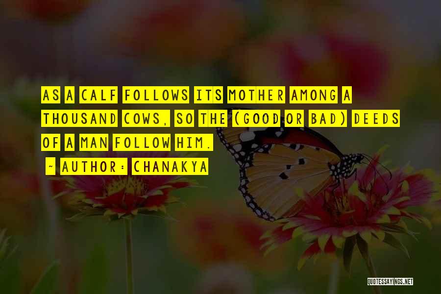 Chanakya Quotes: As A Calf Follows Its Mother Among A Thousand Cows, So The (good Or Bad) Deeds Of A Man Follow