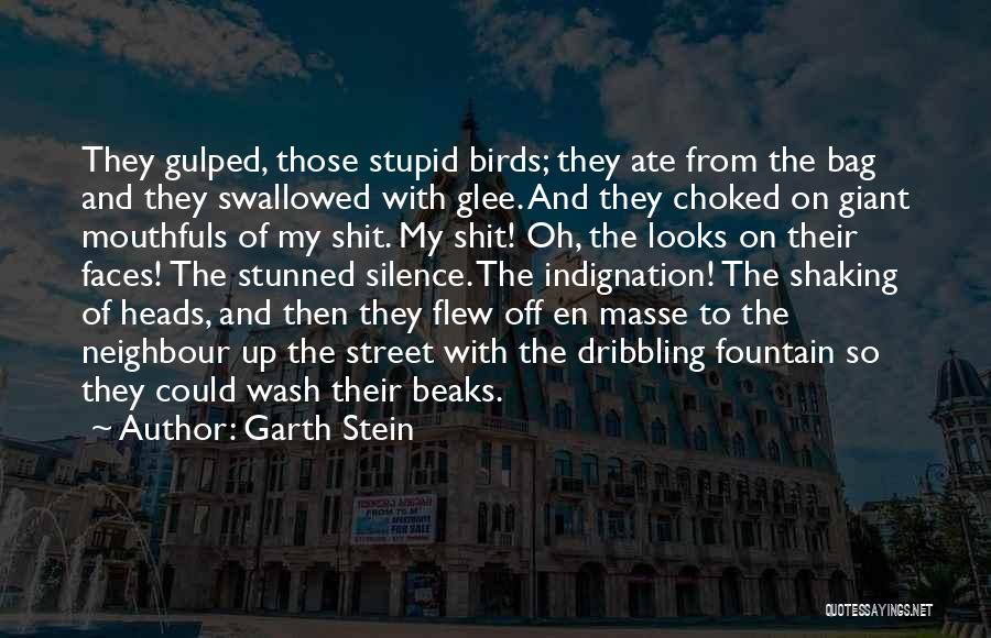 Garth Stein Quotes: They Gulped, Those Stupid Birds; They Ate From The Bag And They Swallowed With Glee. And They Choked On Giant