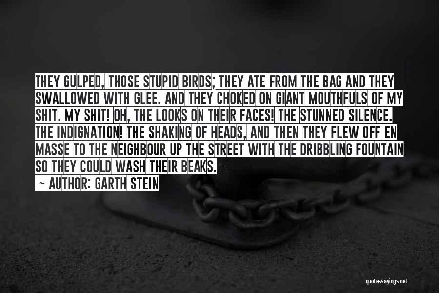 Garth Stein Quotes: They Gulped, Those Stupid Birds; They Ate From The Bag And They Swallowed With Glee. And They Choked On Giant