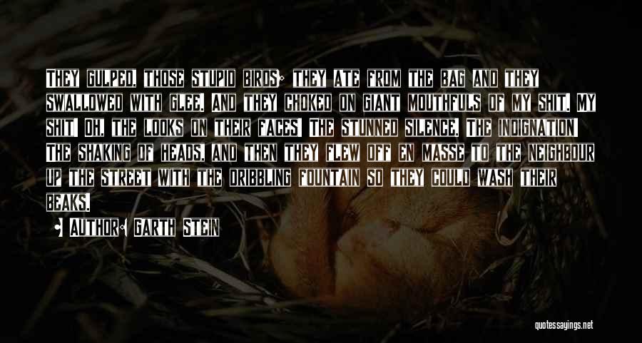 Garth Stein Quotes: They Gulped, Those Stupid Birds; They Ate From The Bag And They Swallowed With Glee. And They Choked On Giant