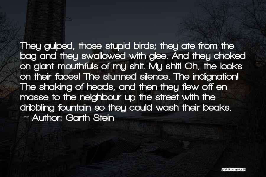 Garth Stein Quotes: They Gulped, Those Stupid Birds; They Ate From The Bag And They Swallowed With Glee. And They Choked On Giant