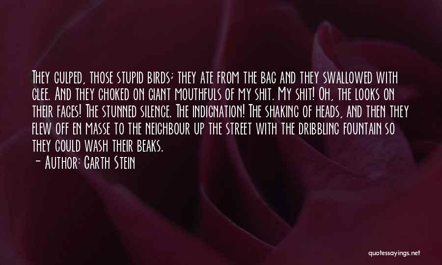 Garth Stein Quotes: They Gulped, Those Stupid Birds; They Ate From The Bag And They Swallowed With Glee. And They Choked On Giant