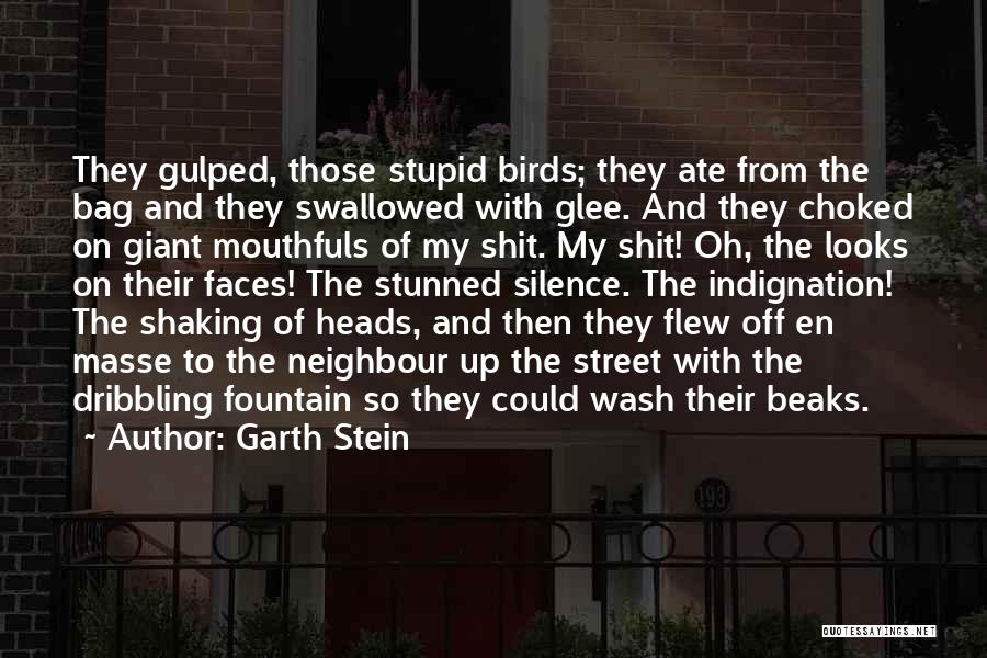 Garth Stein Quotes: They Gulped, Those Stupid Birds; They Ate From The Bag And They Swallowed With Glee. And They Choked On Giant