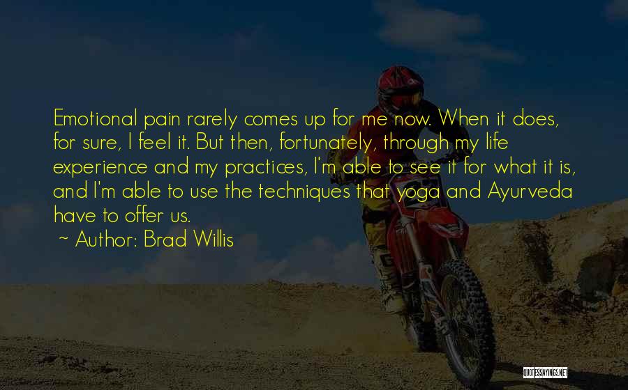 Brad Willis Quotes: Emotional Pain Rarely Comes Up For Me Now. When It Does, For Sure, I Feel It. But Then, Fortunately, Through