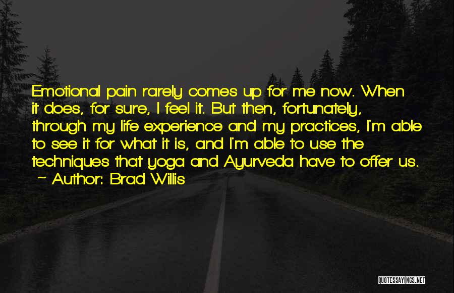 Brad Willis Quotes: Emotional Pain Rarely Comes Up For Me Now. When It Does, For Sure, I Feel It. But Then, Fortunately, Through