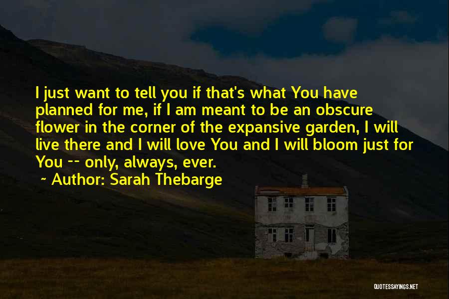 Sarah Thebarge Quotes: I Just Want To Tell You If That's What You Have Planned For Me, If I Am Meant To Be