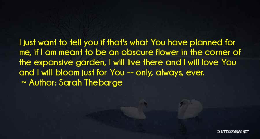 Sarah Thebarge Quotes: I Just Want To Tell You If That's What You Have Planned For Me, If I Am Meant To Be