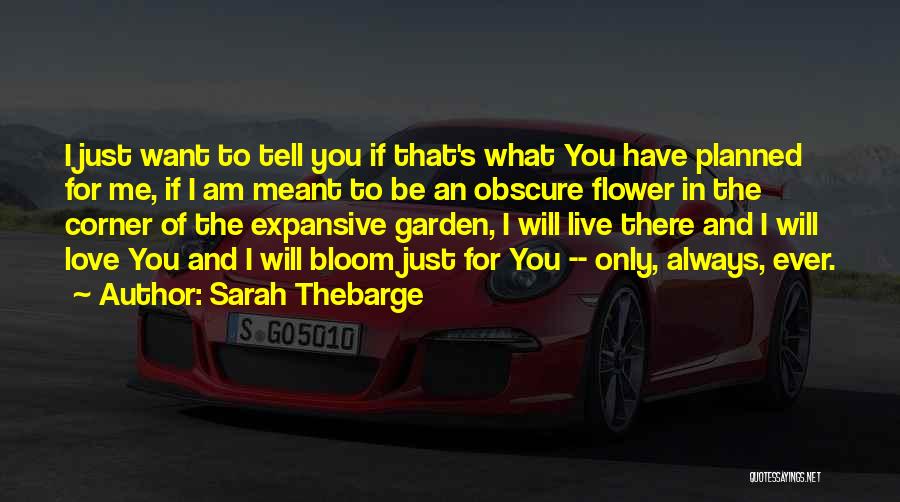 Sarah Thebarge Quotes: I Just Want To Tell You If That's What You Have Planned For Me, If I Am Meant To Be