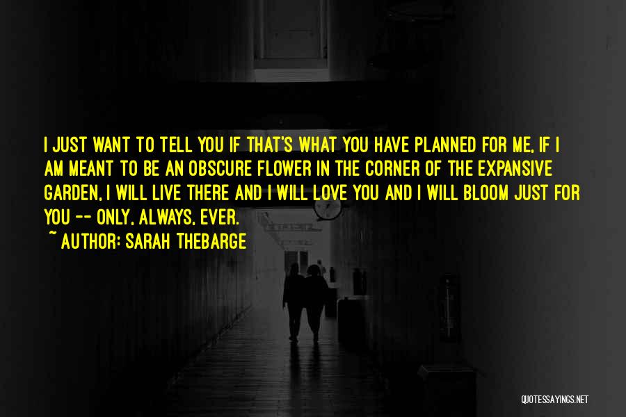 Sarah Thebarge Quotes: I Just Want To Tell You If That's What You Have Planned For Me, If I Am Meant To Be