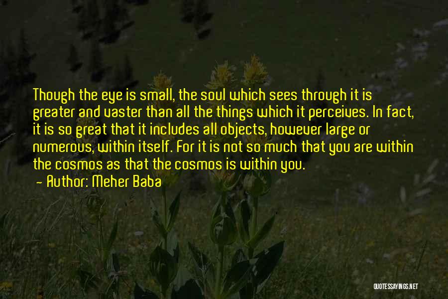Meher Baba Quotes: Though The Eye Is Small, The Soul Which Sees Through It Is Greater And Vaster Than All The Things Which
