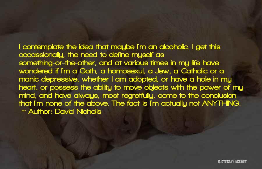 David Nicholls Quotes: I Contemplate The Idea That Maybe I'm An Alcoholic. I Get This Occassionally, The Need To Define Myself As Something-or-the-other,