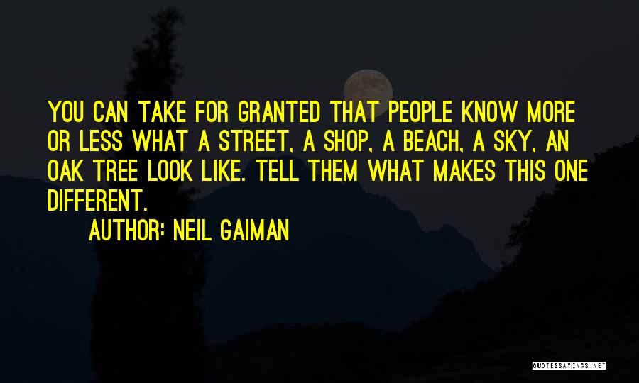 Neil Gaiman Quotes: You Can Take For Granted That People Know More Or Less What A Street, A Shop, A Beach, A Sky,