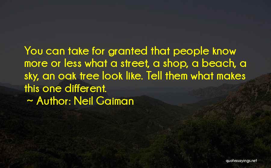 Neil Gaiman Quotes: You Can Take For Granted That People Know More Or Less What A Street, A Shop, A Beach, A Sky,