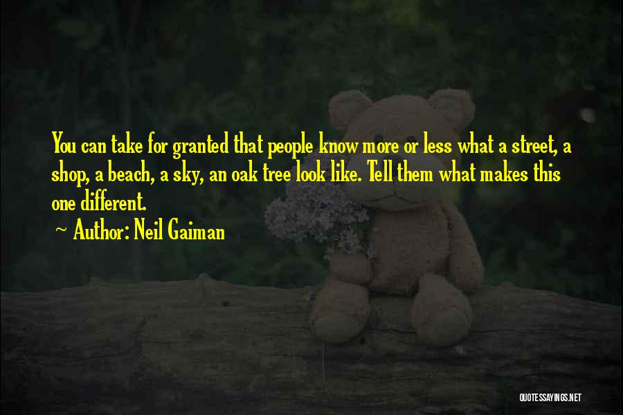 Neil Gaiman Quotes: You Can Take For Granted That People Know More Or Less What A Street, A Shop, A Beach, A Sky,