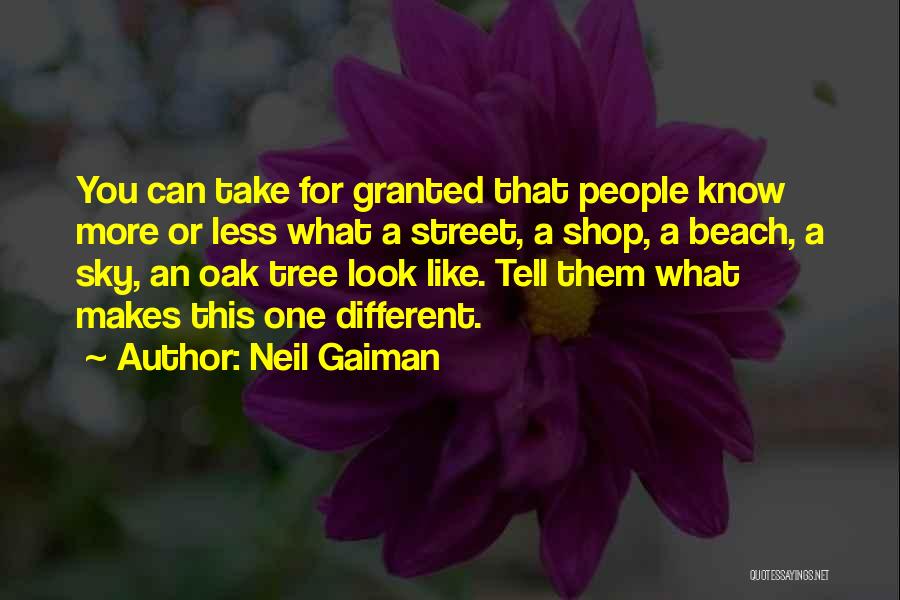 Neil Gaiman Quotes: You Can Take For Granted That People Know More Or Less What A Street, A Shop, A Beach, A Sky,