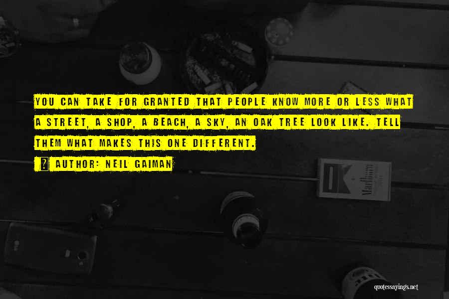 Neil Gaiman Quotes: You Can Take For Granted That People Know More Or Less What A Street, A Shop, A Beach, A Sky,