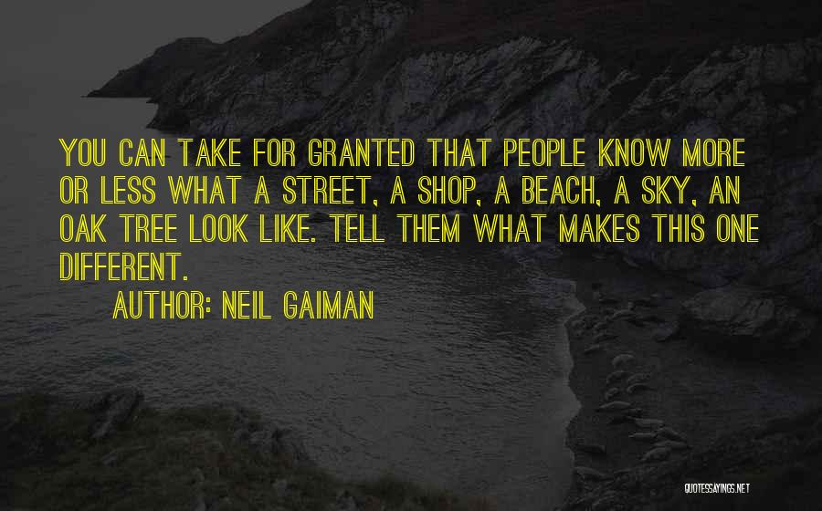 Neil Gaiman Quotes: You Can Take For Granted That People Know More Or Less What A Street, A Shop, A Beach, A Sky,