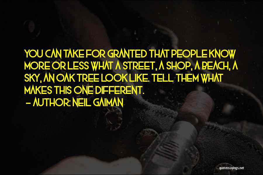 Neil Gaiman Quotes: You Can Take For Granted That People Know More Or Less What A Street, A Shop, A Beach, A Sky,