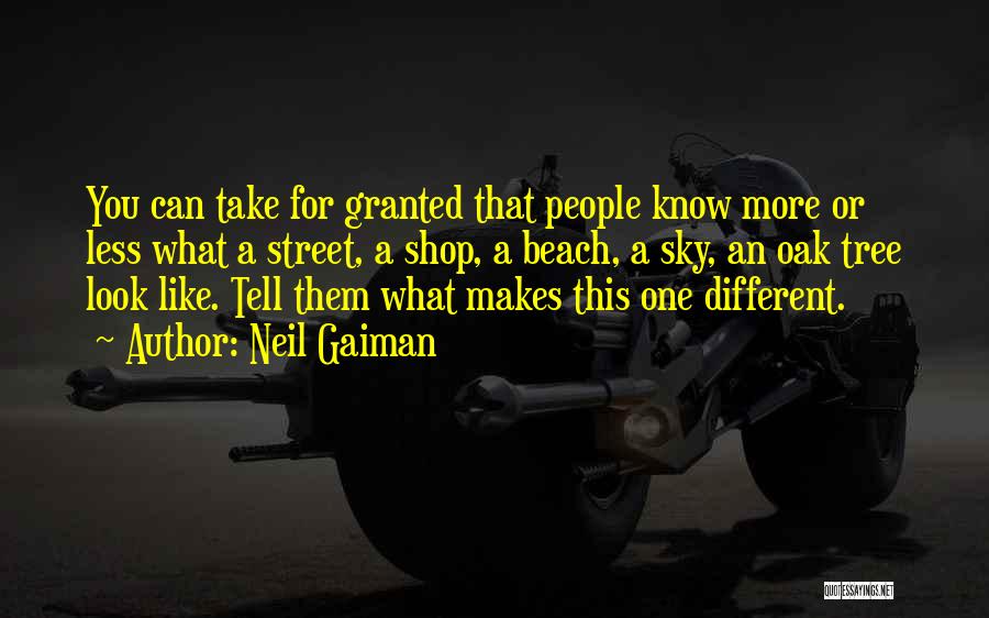 Neil Gaiman Quotes: You Can Take For Granted That People Know More Or Less What A Street, A Shop, A Beach, A Sky,