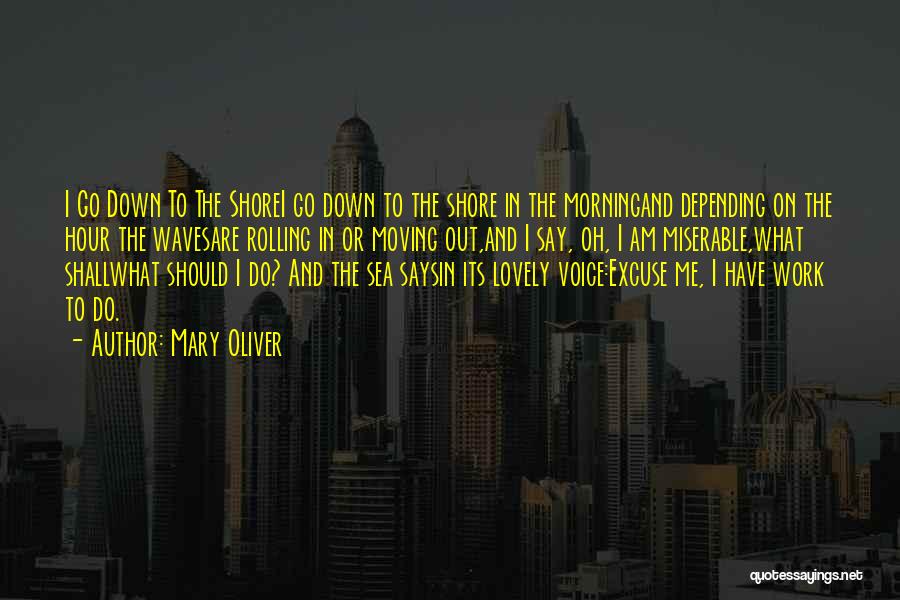 Mary Oliver Quotes: I Go Down To The Shorei Go Down To The Shore In The Morningand Depending On The Hour The Wavesare