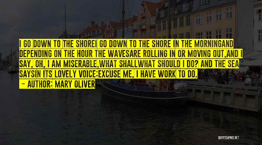 Mary Oliver Quotes: I Go Down To The Shorei Go Down To The Shore In The Morningand Depending On The Hour The Wavesare