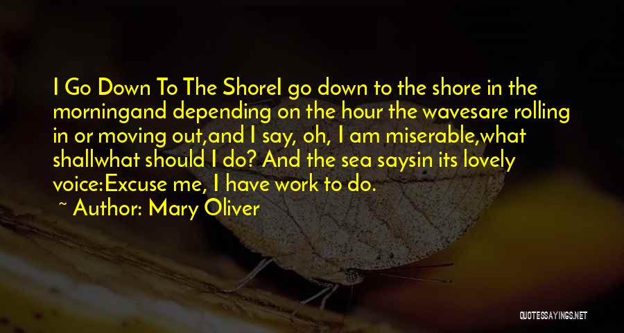 Mary Oliver Quotes: I Go Down To The Shorei Go Down To The Shore In The Morningand Depending On The Hour The Wavesare