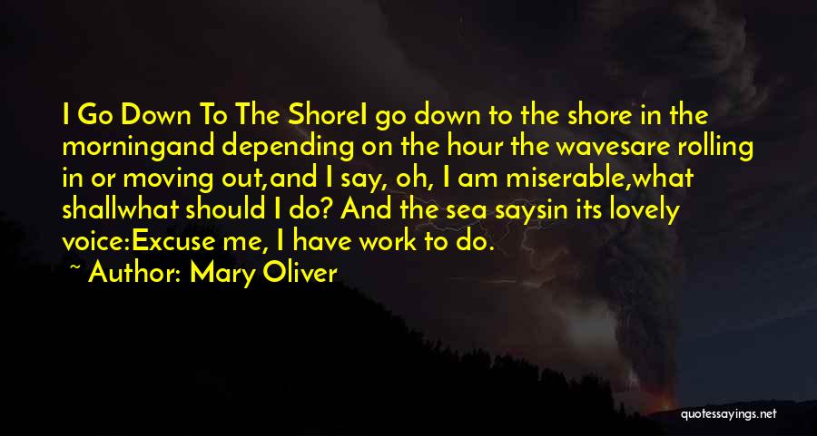 Mary Oliver Quotes: I Go Down To The Shorei Go Down To The Shore In The Morningand Depending On The Hour The Wavesare