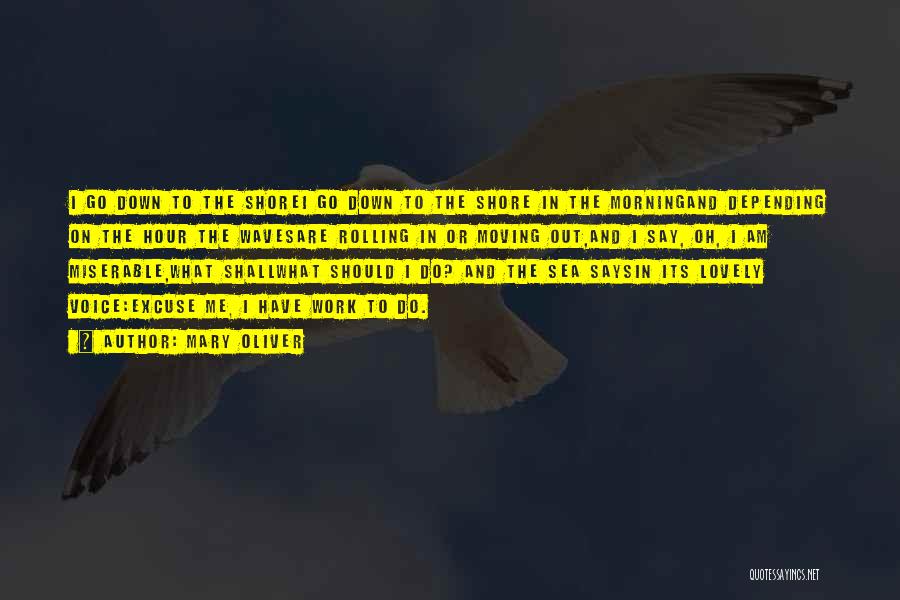 Mary Oliver Quotes: I Go Down To The Shorei Go Down To The Shore In The Morningand Depending On The Hour The Wavesare