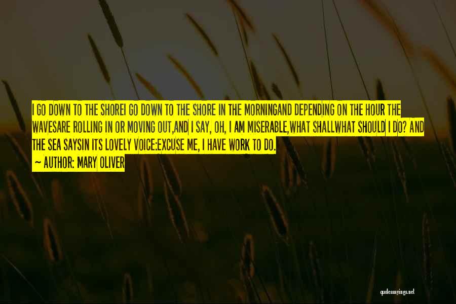 Mary Oliver Quotes: I Go Down To The Shorei Go Down To The Shore In The Morningand Depending On The Hour The Wavesare