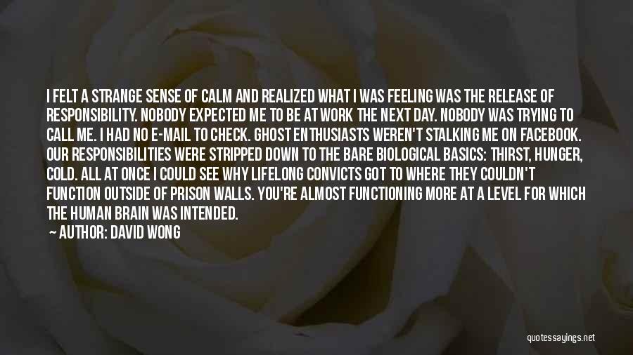 David Wong Quotes: I Felt A Strange Sense Of Calm And Realized What I Was Feeling Was The Release Of Responsibility. Nobody Expected