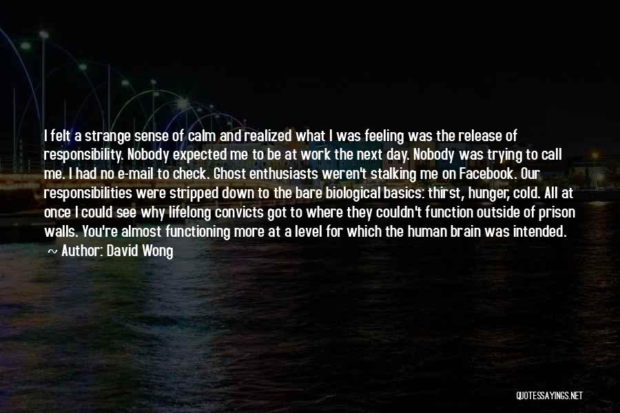 David Wong Quotes: I Felt A Strange Sense Of Calm And Realized What I Was Feeling Was The Release Of Responsibility. Nobody Expected