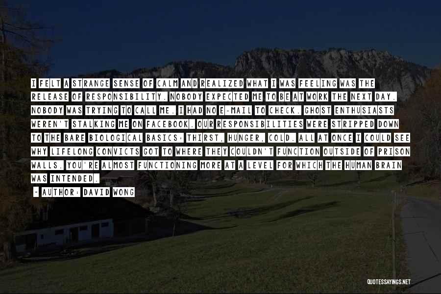 David Wong Quotes: I Felt A Strange Sense Of Calm And Realized What I Was Feeling Was The Release Of Responsibility. Nobody Expected