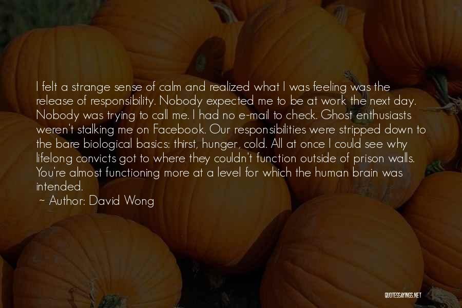 David Wong Quotes: I Felt A Strange Sense Of Calm And Realized What I Was Feeling Was The Release Of Responsibility. Nobody Expected