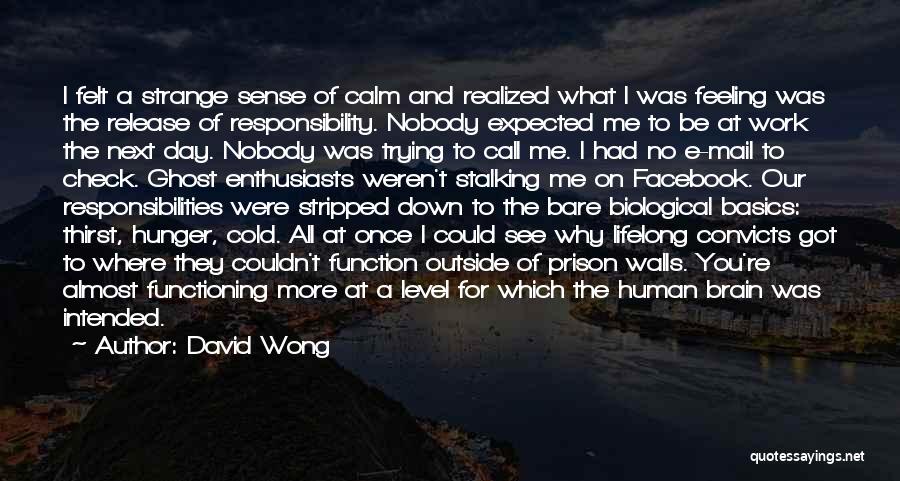 David Wong Quotes: I Felt A Strange Sense Of Calm And Realized What I Was Feeling Was The Release Of Responsibility. Nobody Expected