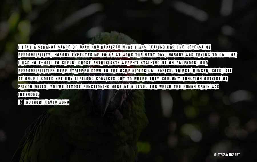David Wong Quotes: I Felt A Strange Sense Of Calm And Realized What I Was Feeling Was The Release Of Responsibility. Nobody Expected