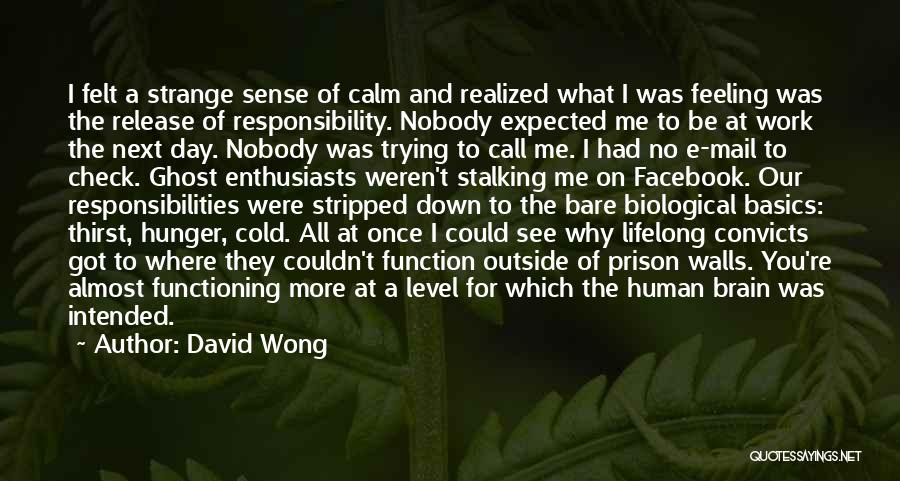 David Wong Quotes: I Felt A Strange Sense Of Calm And Realized What I Was Feeling Was The Release Of Responsibility. Nobody Expected