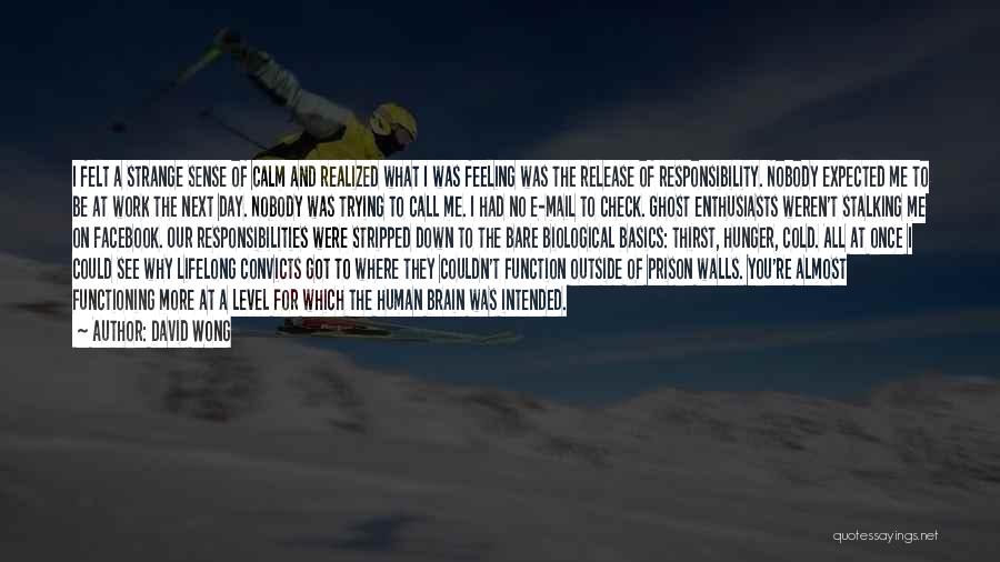 David Wong Quotes: I Felt A Strange Sense Of Calm And Realized What I Was Feeling Was The Release Of Responsibility. Nobody Expected